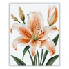 Elegáns barack liliom - számfestő készlet - Számfestő.hu - 40×50cm - Keretre feszítve