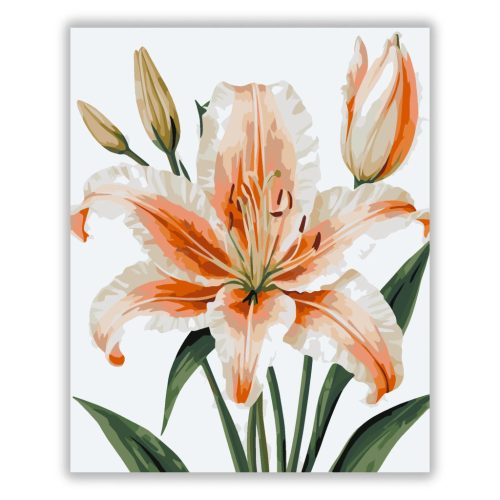 Elegáns barack liliom - számfestő készlet - Számfestő.hu - 40×50cm - Keret nélkül