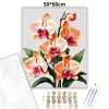 Letisztult orchidea virágzás - számfestő készlet - Számfestő.hu - 50×60cm - Keretre feszítve