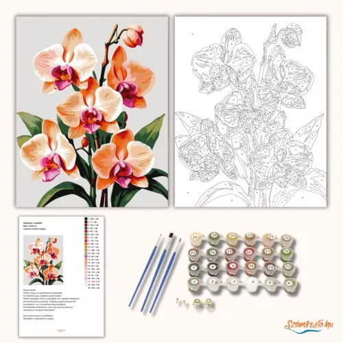 Letisztult orchidea virágzás - számfestő készlet - Számfestő.hu - 50×60cm - Keretre feszítve