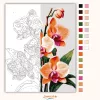 Letisztult orchidea virágzás - számfestő készlet - Számfestő.hu - 50×60cm - Keret nélkül