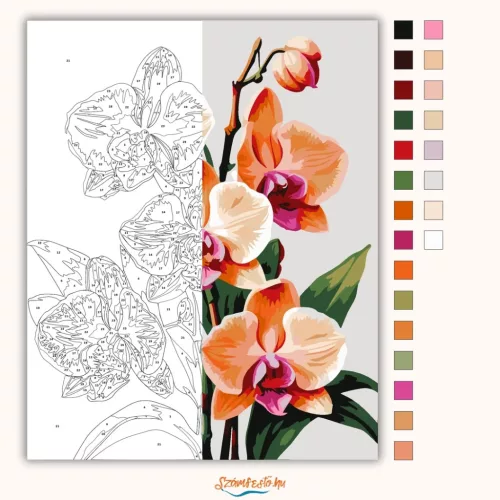 Letisztult orchidea virágzás - számfestő készlet - Számfestő.hu - 60×70cm - Keretre feszítve