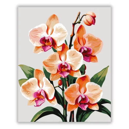 Letisztult orchidea virágzás - számfestő készlet - Számfestő.hu - 60×70cm - Keretre feszítve