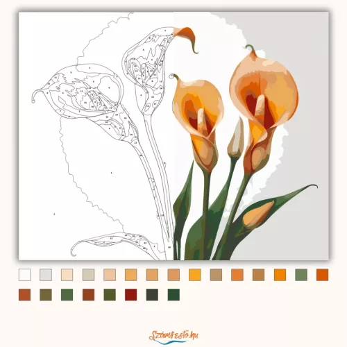 Szelíd kálák eleganciája - számfestő készlet - Számfestő.hu - 40×50cm - Keret nélkül