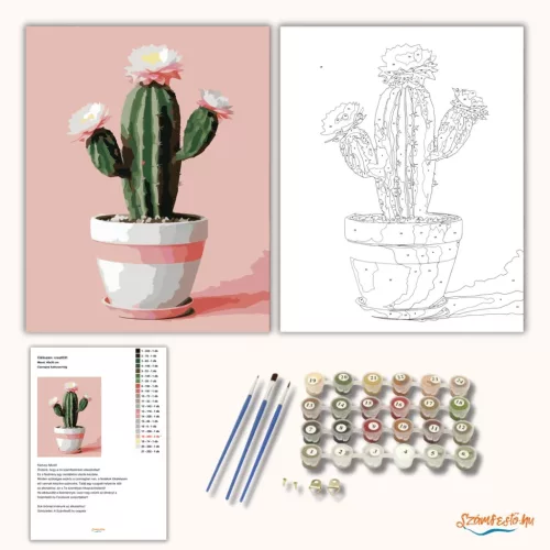 Cserepes kaktuszvirág - számfestő készlet - Számfestő.hu - 80×100cm - Keretre feszítve