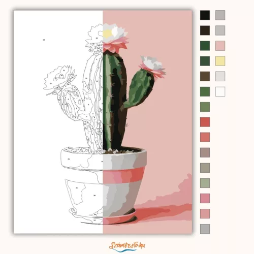 Cserepes kaktuszvirág - számfestő készlet - Számfestő.hu - 40×50cm - Keret nélkül