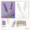 Levendulák csendje - számfestő készlet - Számfestő.hu - 60×70cm - Keret nélkül