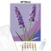 Levendulák csendje - számfestő készlet - Számfestő.hu - 40×50cm - Keret nélkül