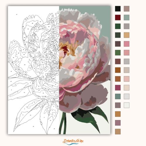 Pünkösdi rózsa - számfestő készlet - Számfestő.hu - 60×70cm - Keret nélkül