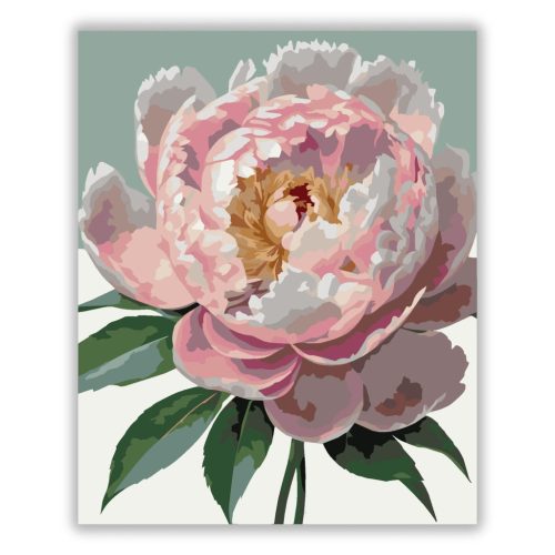 Pünkösdi rózsa - számfestő készlet - Számfestő.hu - 60×70cm - Keretre feszítve