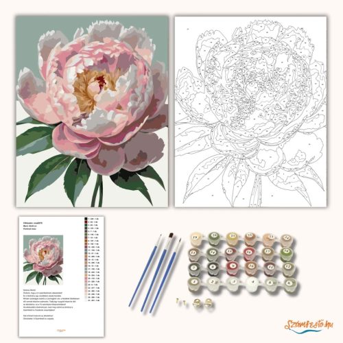 Pünkösdi rózsa - számfestő készlet - Számfestő.hu - 80×100cm - Keret nélkül