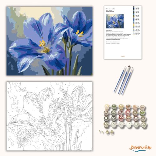 Harmatos harangvirág - számfestő készlet - Számfestő.hu - 60×70cm - Keret nélkül