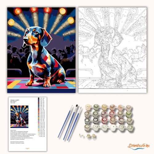 Tacsi a sztár - számfestő készlet - Számfestő.hu - 60×70cm - Keretre feszítve