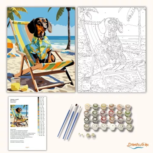 Nyaraló tacskó - számfestő készlet - Számfestő.hu - 40×50cm - Keretre feszítve