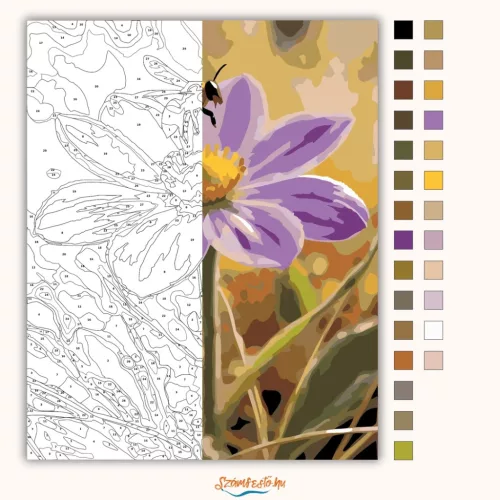 Tavaszi virágzás - számfestő készlet - Számfestő.hu - 40×50cm - Keretre feszítve