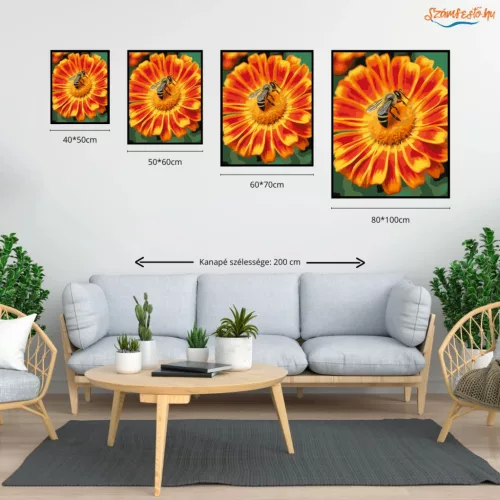 Napsütötte virág beporzása - számfestő készlet - Számfestő.hu - 50×60cm - Keretre feszítve