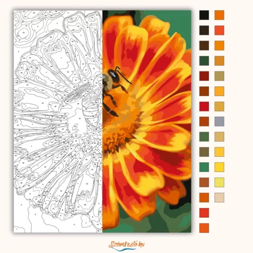 Napsütötte virág beporzása - számfestő készlet - Számfestő.hu - 60×70cm - Keretre feszítve