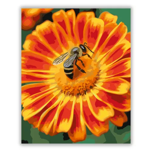 Napsütötte virág beporzása - számfestő készlet - Számfestő.hu - 60×70cm - Keretre feszítve