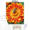 Napsütötte virág beporzása - számfestő készlet - Számfestő.hu - 40×50cm - Keretre feszítve