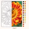 Napsütötte virág beporzása - számfestő készlet - Számfestő.hu - 40×50cm - Keret nélkül