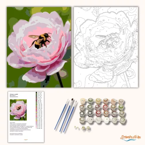 Üde bazsarózsa-pihenő - számfestő készlet - Számfestő.hu - 50×60cm - Keret nélkül