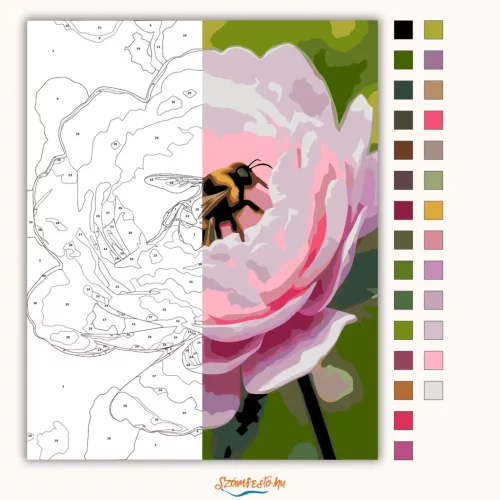 Üde bazsarózsa-pihenő - számfestő készlet - Számfestő.hu - 60×70cm - Keret nélkül