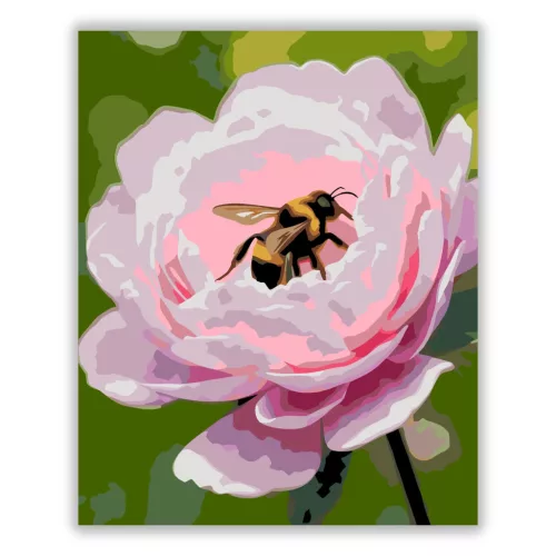 Üde bazsarózsa-pihenő - számfestő készlet - Számfestő.hu - 60×70cm - Keret nélkül