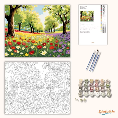 Napsütötte vadvirágok - számfestő készlet - Számfestő.hu - 40×50cm - Keretre feszítve