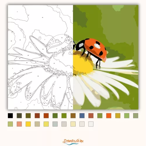 Katica találkozó - számfestő készlet - Számfestő.hu - 50×60cm - Keret nélkül