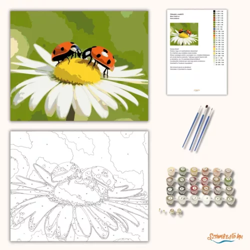 Katica találkozó - számfestő készlet - Számfestő.hu - 80×100cm - Keret nélkül