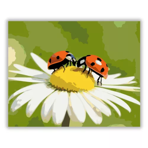 Katica találkozó - számfestő készlet - Számfestő.hu - 40×50cm - Keretre feszítve