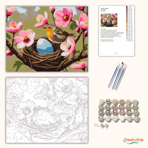 Tavaszi fészek - számfestő készlet - Számfestő.hu - 50×60cm - Keret nélkül