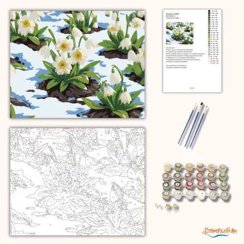 Tavaszi hunyor virágok - számfestő készlet - Számfestő.hu - 60×70cm - Keretre feszítve