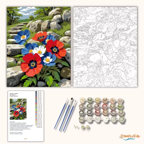 Napsütötte szellőrózsák - számfestő készlet - Számfestő.hu - 80×100cm - Keretre feszítve