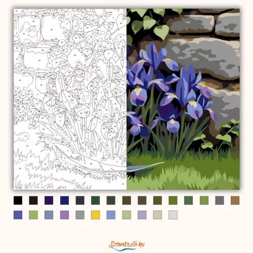 Tavaszi íriszek a kőfalnál - számfestő készlet - Számfestő.hu - 80×100cm - Keretre feszítve