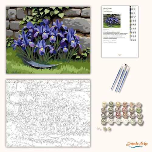 Tavaszi íriszek a kőfalnál - számfestő készlet - Számfestő.hu - 40×50cm - Keret nélkül
