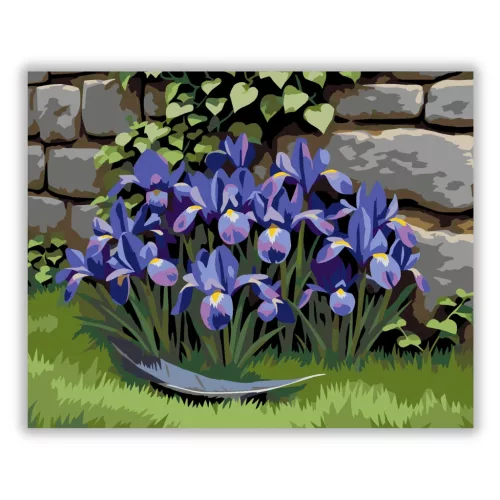 Tavaszi íriszek a kőfalnál - számfestő készlet - Számfestő.hu - 40×50cm - Keretre feszítve