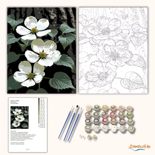 Tavaszi somvirágzás - számfestő készlet - Számfestő.hu - 60×70cm - Keretre feszítve