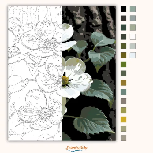 Tavaszi somvirágzás - számfestő készlet - Számfestő.hu - 40×50cm - Keret nélkül