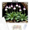 Árnyékban nyíló vad orchideák - számfestő készlet - Számfestő.hu - 50×60cm - Keretre feszítve