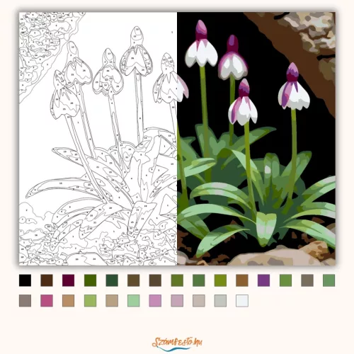 Árnyékban nyíló vad orchideák - számfestő készlet - Számfestő.hu - 50×60cm - Keretre feszítve