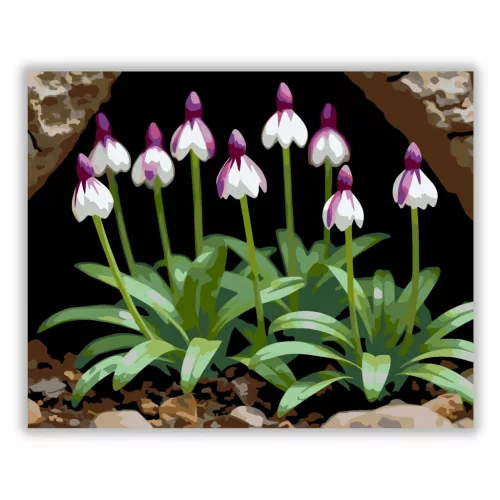 Árnyékban nyíló vad orchideák - számfestő készlet - Számfestő.hu - 50×60cm - Keretre feszítve