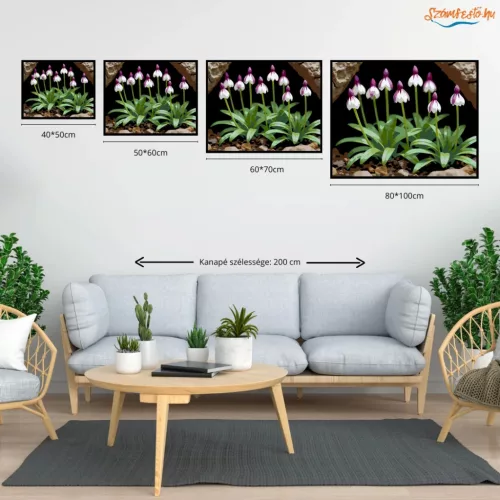 Árnyékban nyíló vad orchideák - számfestő készlet - Számfestő.hu - 60×70cm - Keretre feszítve