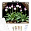 Árnyékban nyíló vad orchideák - számfestő készlet - Számfestő.hu - 80×100cm - Keret nélkül