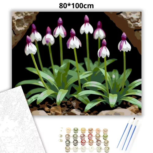 Árnyékban nyíló vad orchideák - számfestő készlet - Számfestő.hu - 80×100cm - Keret nélkül