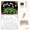 Árnyékban nyíló vad orchideák - számfestő készlet - Számfestő.hu - 80×100cm - Keretre feszítve