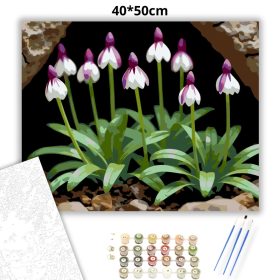 Árnyékban nyíló vad orchideák - számfestő készlet - Számfestő.hu - 40×50cm - Keret nélkül