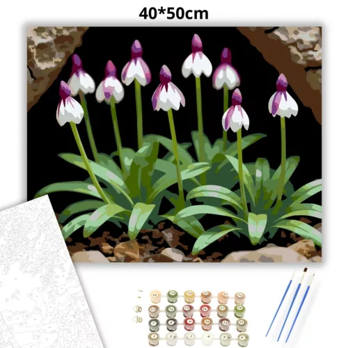 Árnyékban nyíló vad orchideák - számfestő készlet - Számfestő.hu - 40×50cm - Keretre feszítve