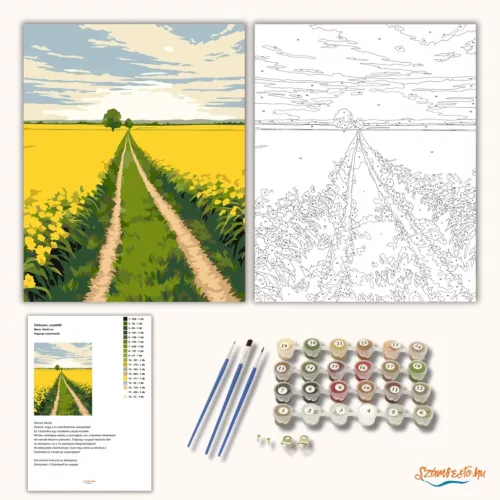 Ragyogó repcemezők - számfestő készlet - Számfestő.hu - 50×60cm - Keretre feszítve