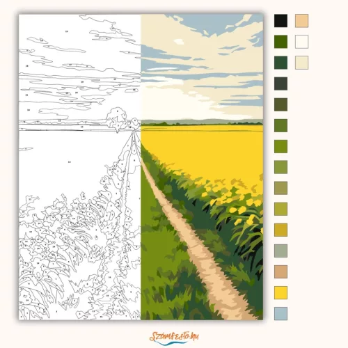 Ragyogó repcemezők - számfestő készlet - Számfestő.hu - 50×60cm - Keret nélkül